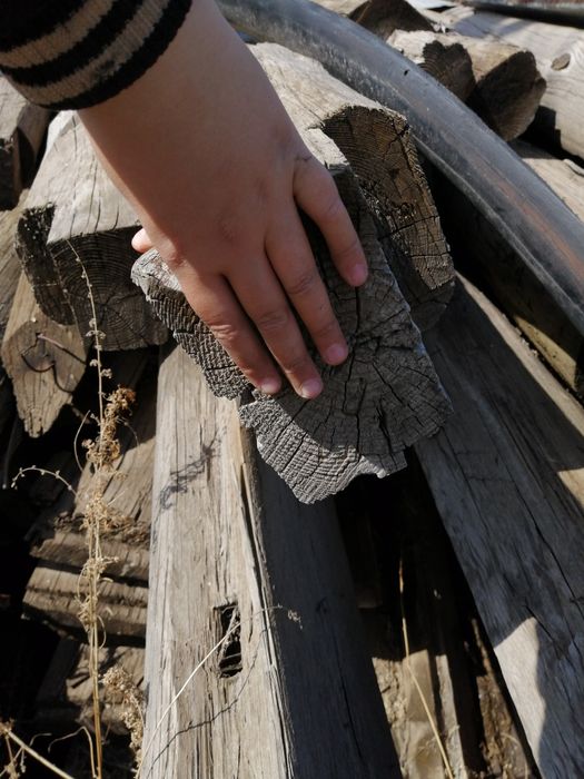 бревна 1-5 метров