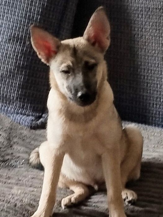 В очень надёжные руки