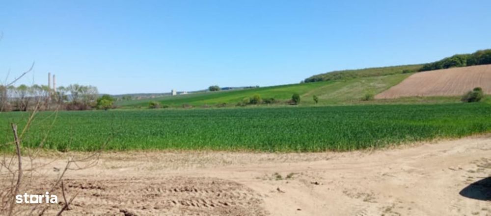 Teren intravilan, 41  ari, zona centurii