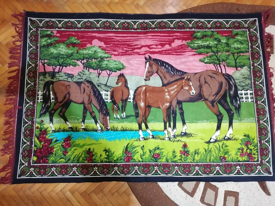 Vând carpete perete