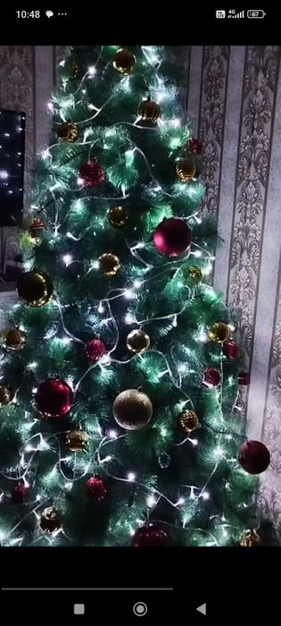 Елка, в квартире длиной до потолка