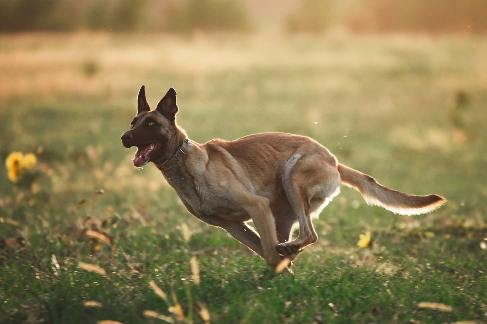 Nikon D750 - 3500 cadre - aproape nou + obiective