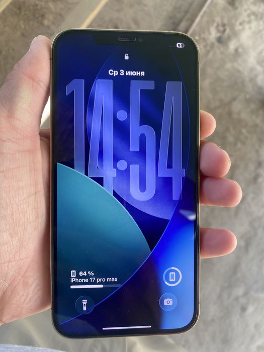 iPhone 12 Pro Max