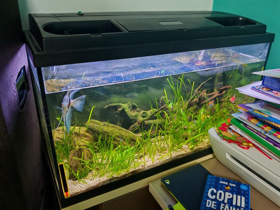 Vând acvariu 126 l eheim cu filtru extern
