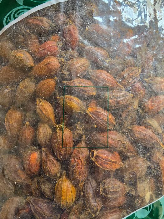 Плоды гардении Чжи Цзы