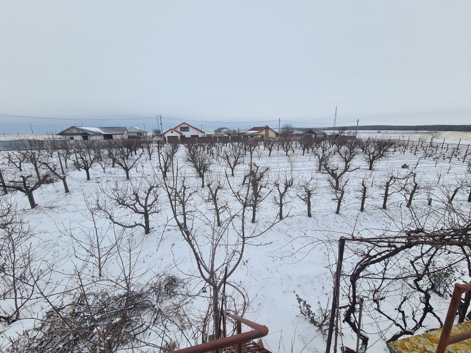 Vând Teren Intravilan Pecineaga