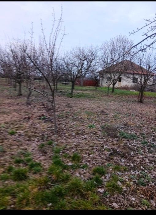 Casă 70 mp + 1500 mp teren cu livadă Șomoșcheș