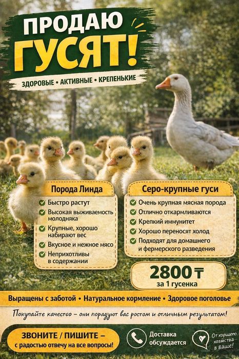 Гусята Линда,серо крупные