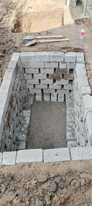 Urachi O'rachi Transha