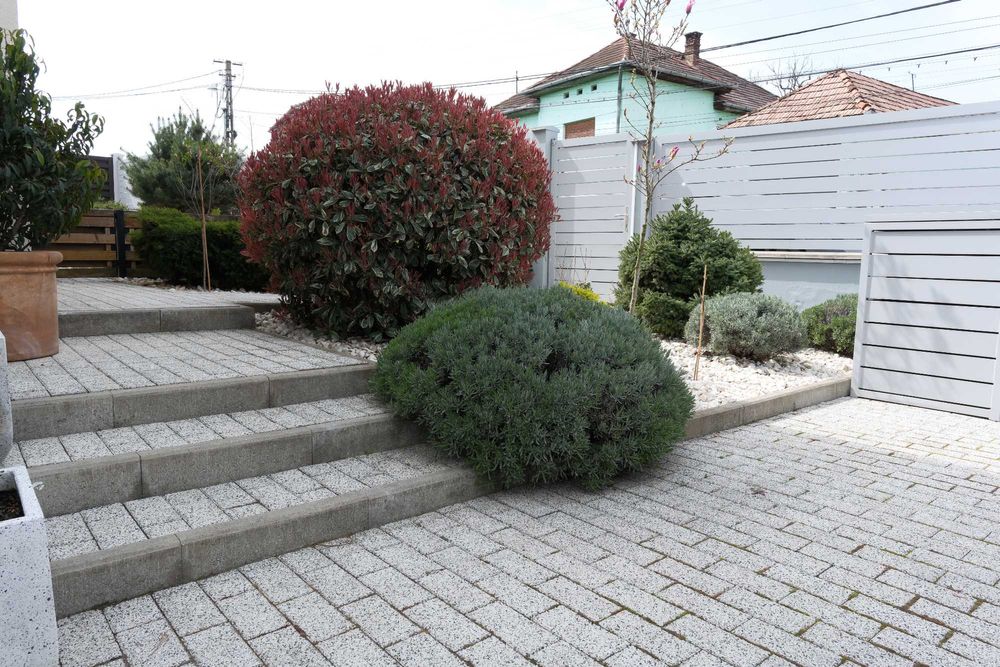 Casa de Vanzare Strada Viilor
