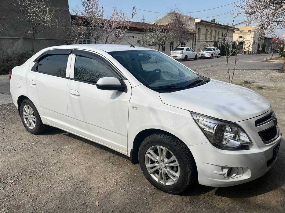 Свой кобольт ноябрь 2023