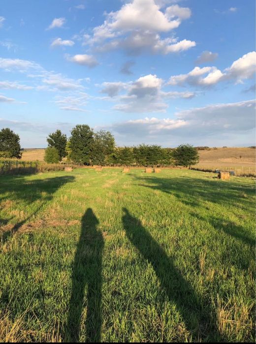 Teren intravilan Ianova 1508mp. Parcelabil