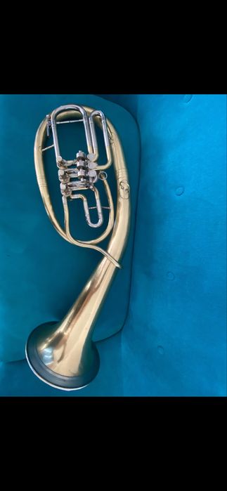 Basflighorn Doina reconditionat