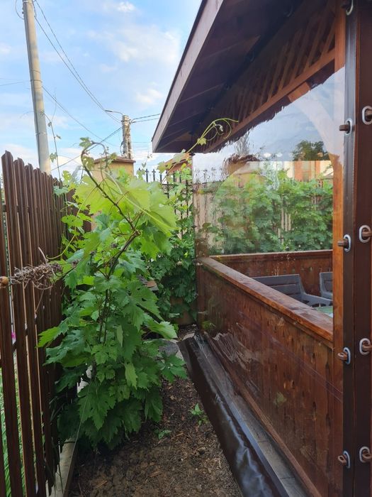 Rulouri folie transparentă