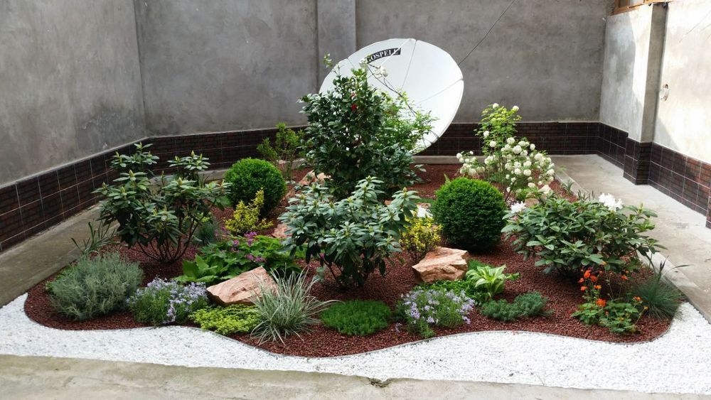 Gazon.landshaf.qilamiz.Archa.kisish.va.dorilash.xizmatlari.mavjud.