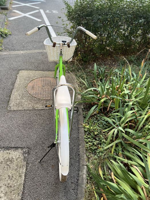 Bicicleta Cruiser retro Carpat
