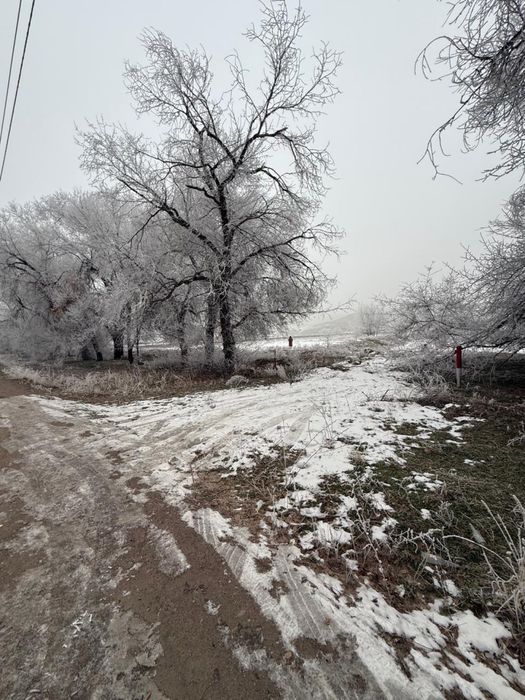 Қарасай ауданырда шұғыл түрде жер сатылады.