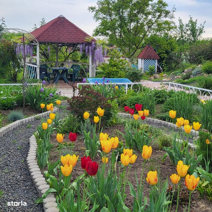 Proprietar - Casă spațioasă în centrul comunei Giarmata