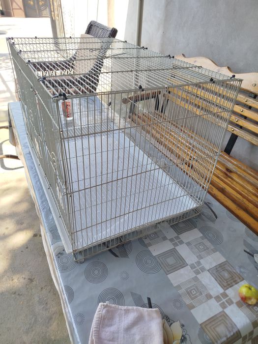 Qafas sotiladi qushlar uchun