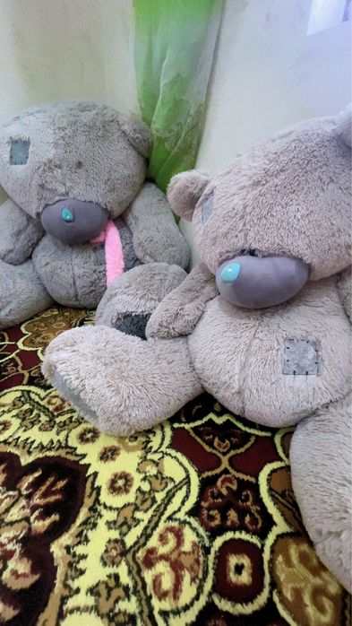 Теди айиклар катта