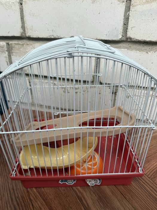 Хомяк, с клеткой