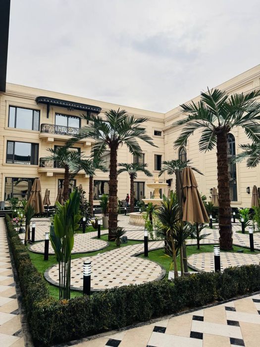 Suniy Eco Palma hizmatlari