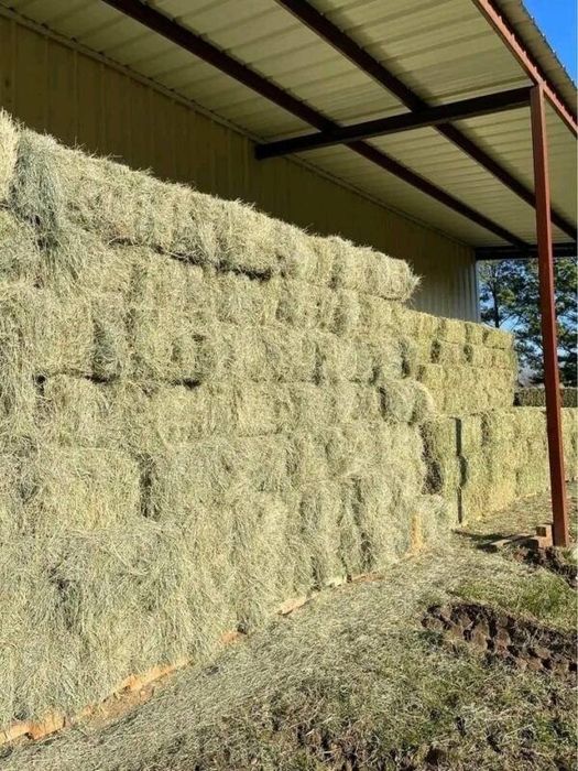 Продам сена в тюках не дорого