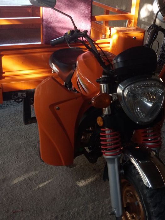 Lochin muravey rangi sabzirang