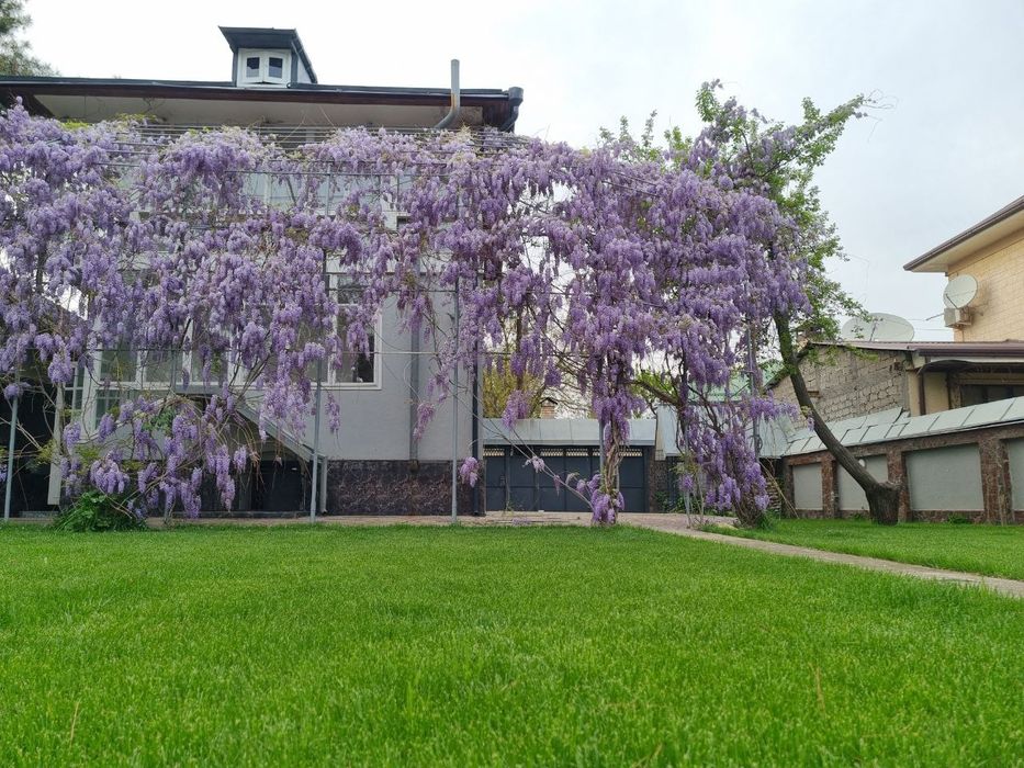 Дом дача на берегу реки