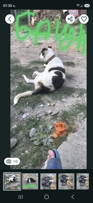 Бащата и майката се виждат на снимките