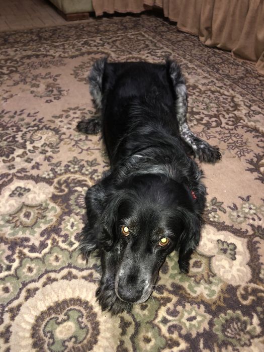 Нужна девочка на вязку