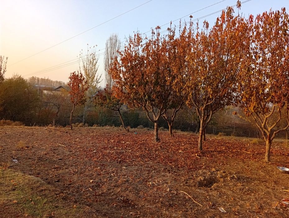 Qurilish uchun yer sotiladi