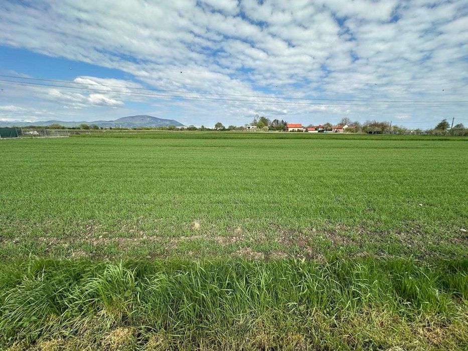 Teren intravilan 800 mp Brașov, Stupini – Str. Albinelor, PUZ, utilitati