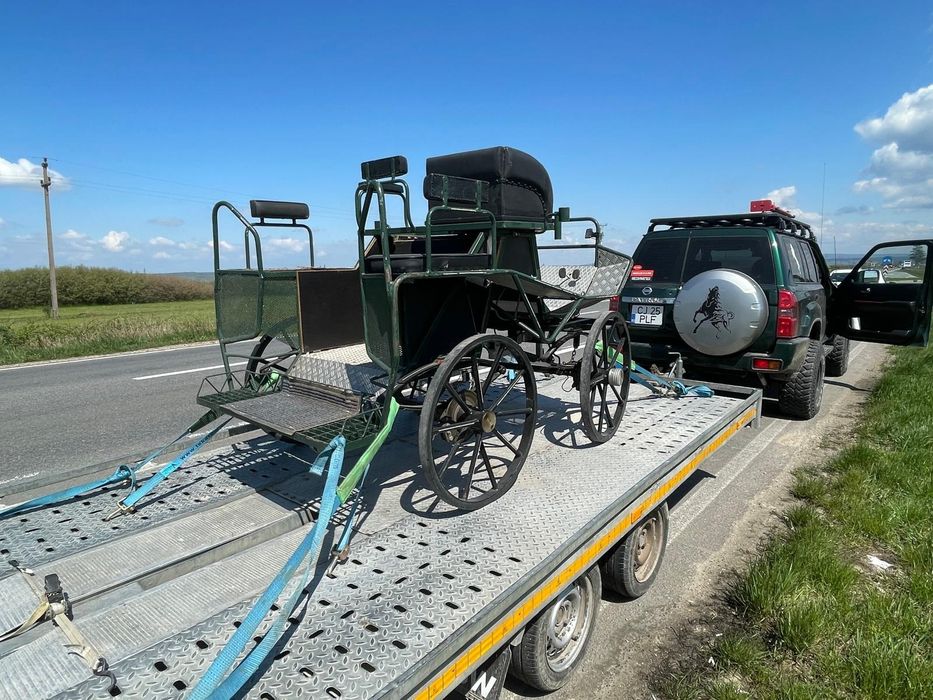Transport animale,auto/închirieri remorci