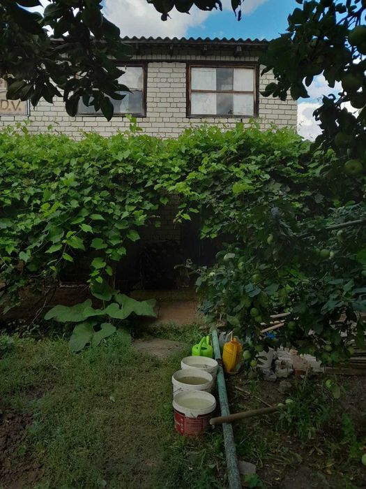 Продам дачу в обществе Парус