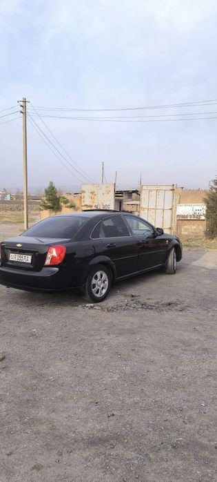 Жентра 2023 Краска тозза