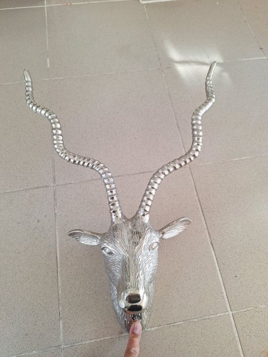 Ловен трофей Антилопа