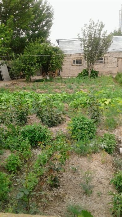 Продам дом в центре города.