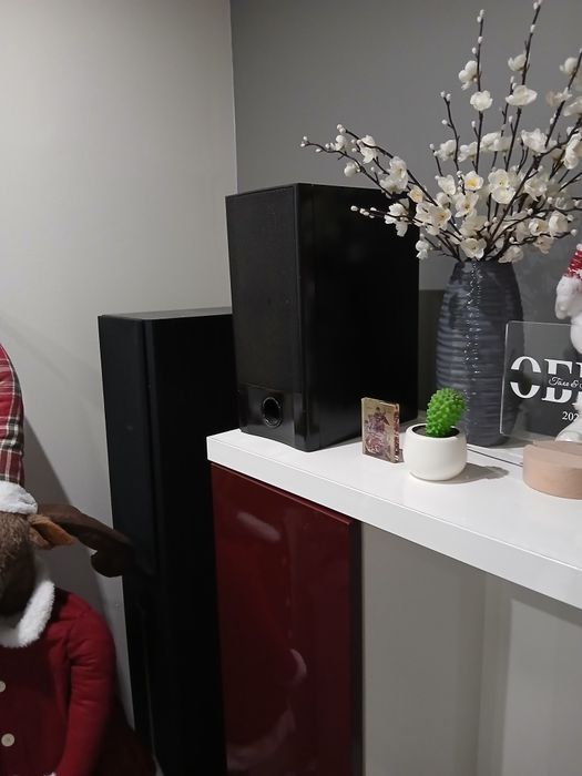 Тонколони тъндър и пайнер