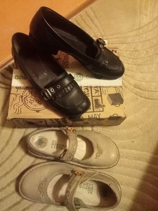 El Naturalista 37, Salamander 38, Fusta S.Oliver, 38