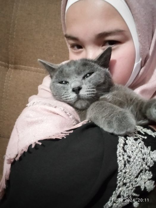 Пропала кошка,обратите внимание!