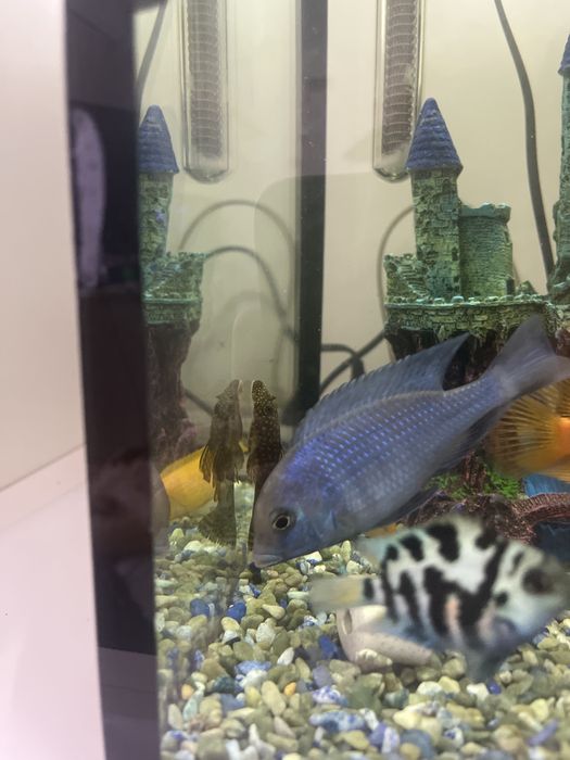 Аквариум 90л комплект