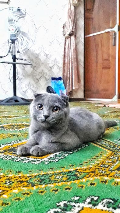 Dikni ishqalayotgan porno tomosha qiling