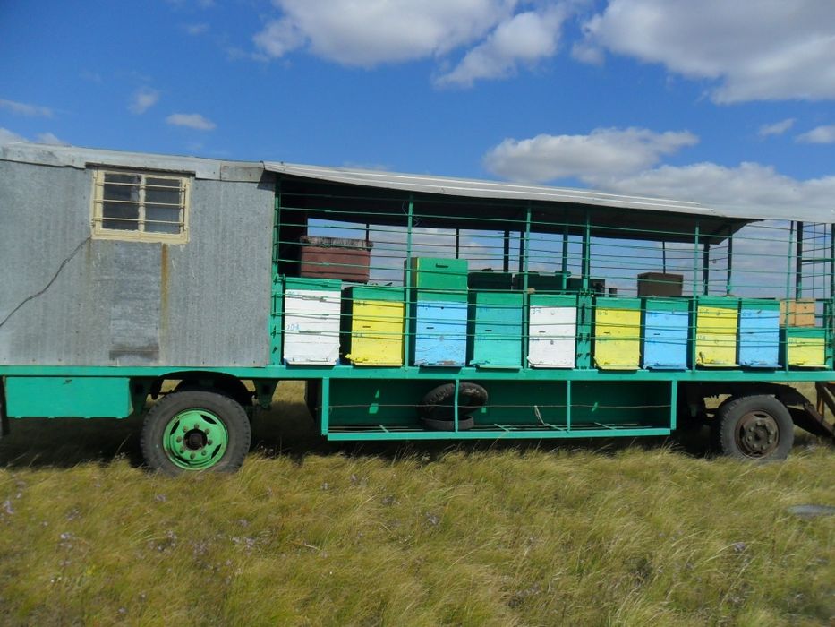 Пчелопавильон. Прицеп для пчёл.  Улья
