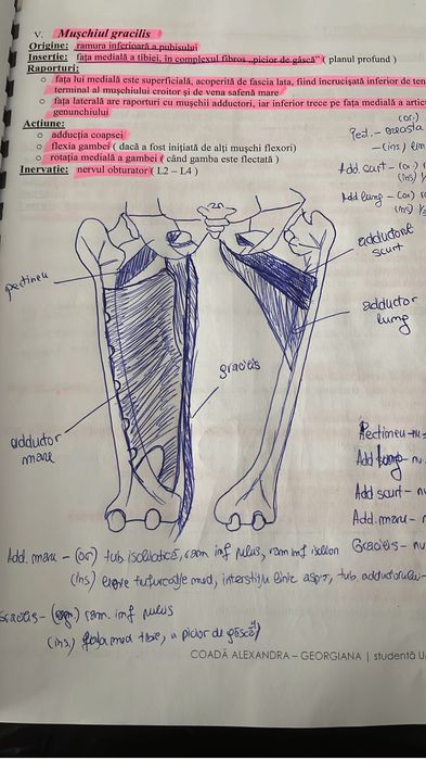 Meditatii Biologie Bac/Admitere- Anatomie si Fiziologie Corint