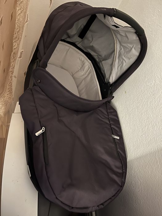 Landou mutsu bebelusi