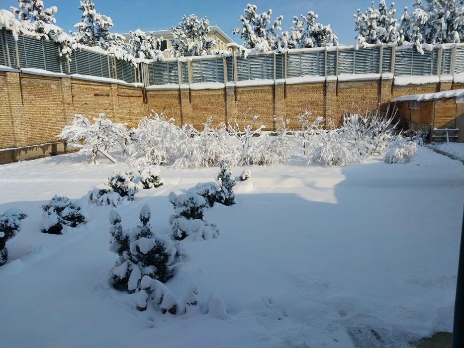 М.улугбек участка 14 сот