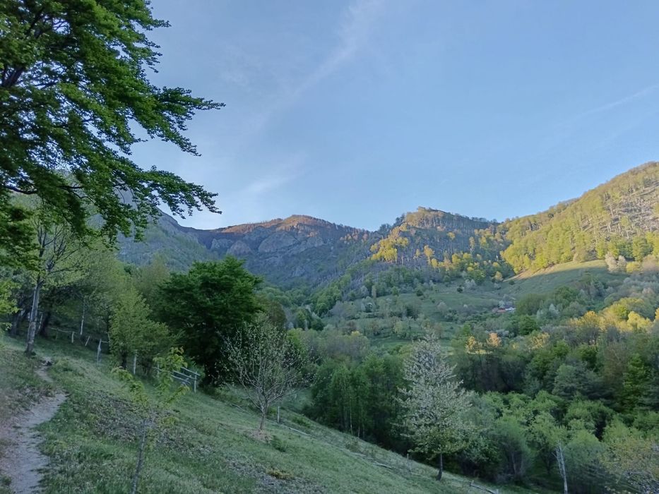 Teren Poiana Lunga,Cornereva