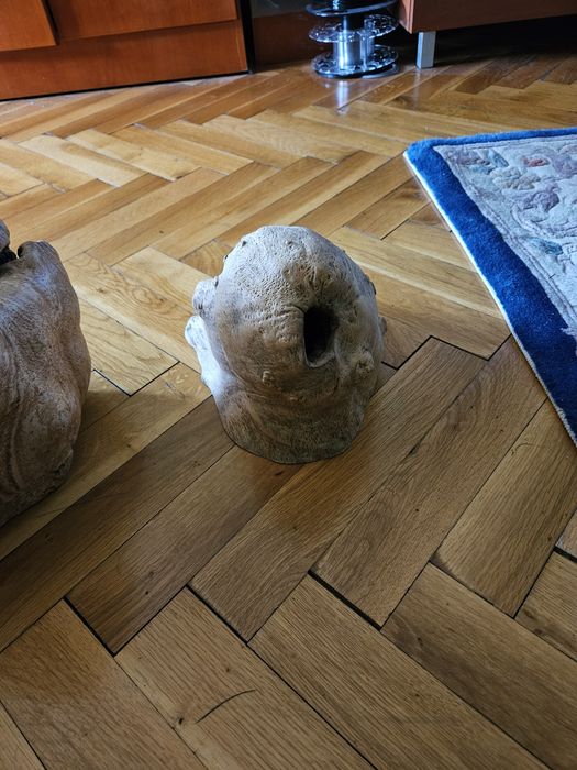 Декорация за дома и градината