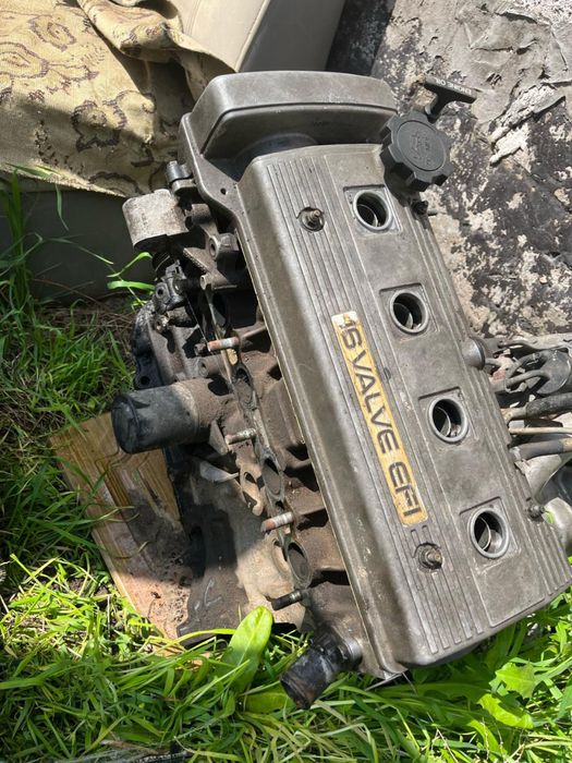 Матор Карина Е